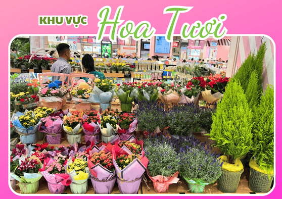 SẢN PHẨM HOA TƯƠI