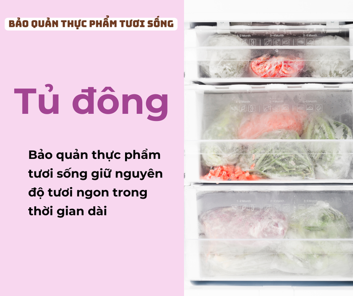 Sử dụng tủ đông phù hợp với nhu cầu bảo quản thực phẩm trong thời gian dài